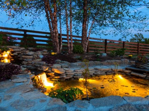 בריכות נוי לגינה